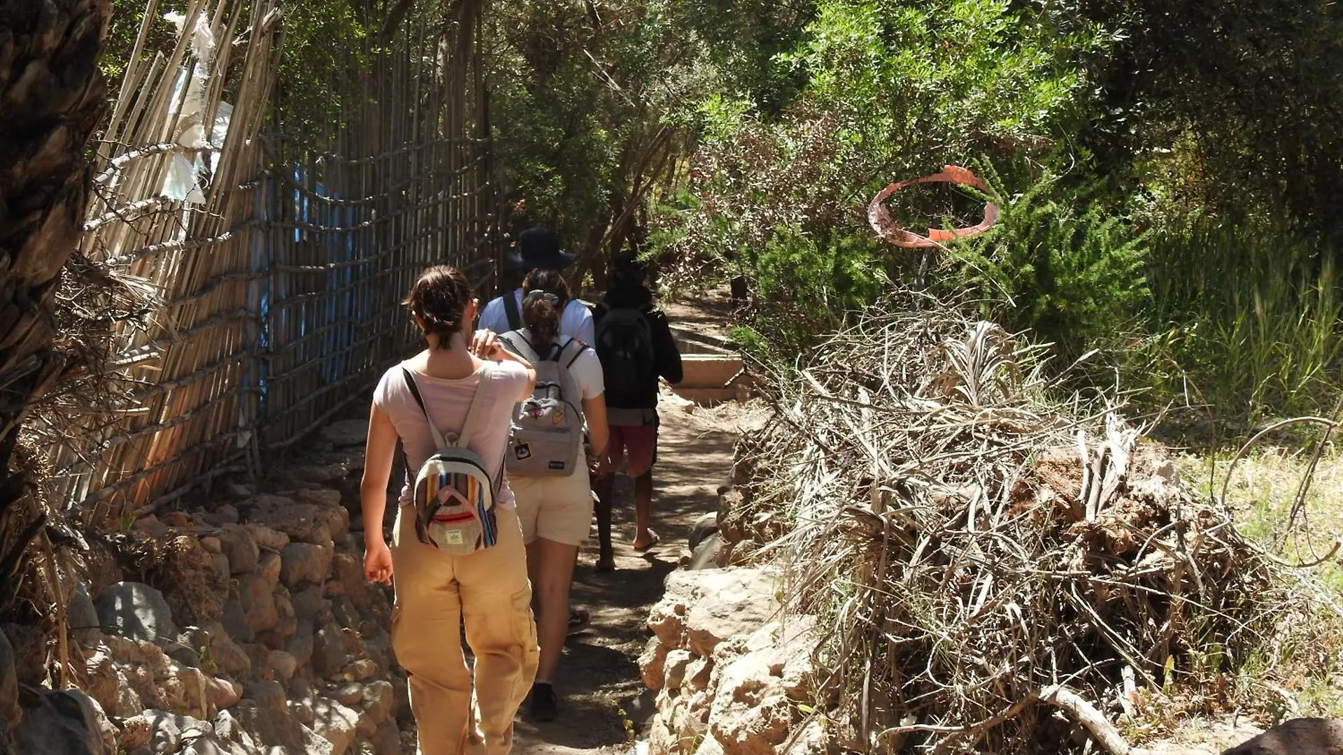 Surf And Hike With Moroccan Break Agadir Fas