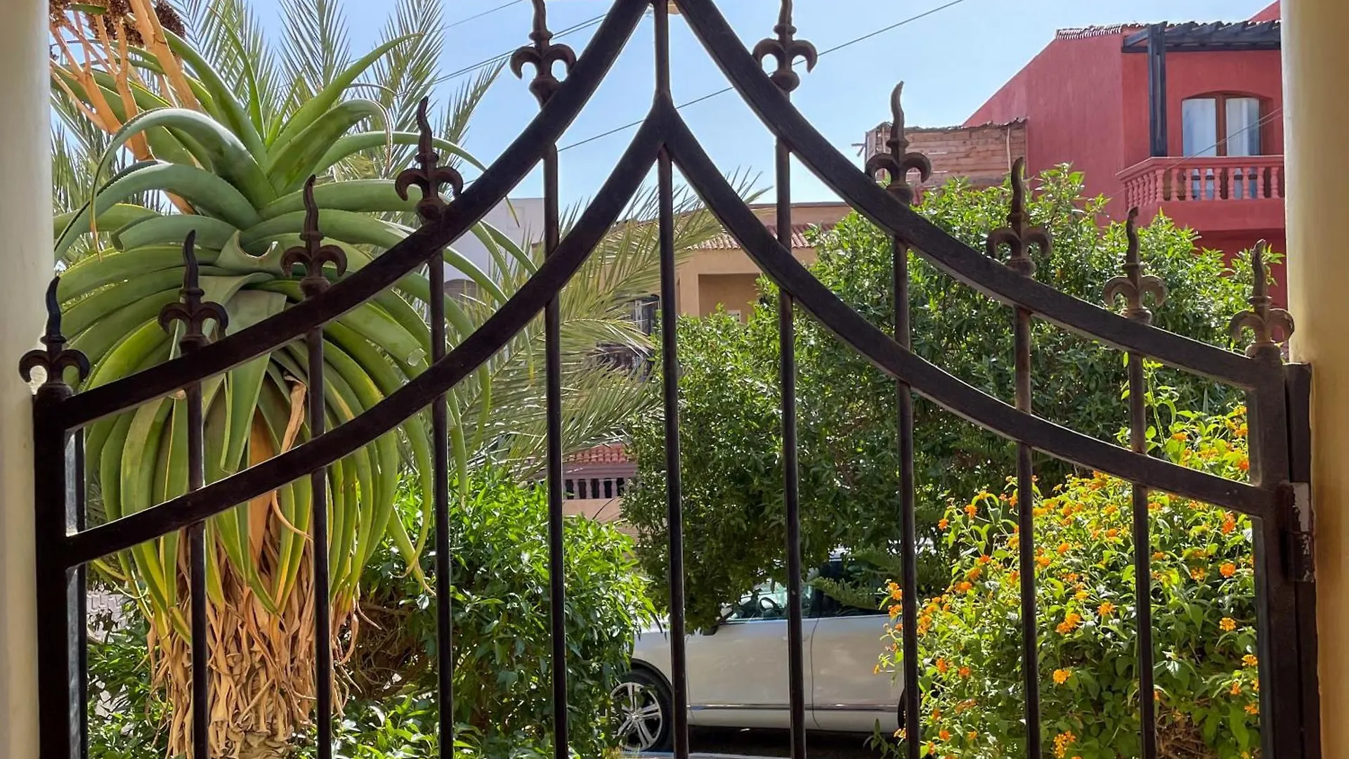 Surf And Hike With Moroccan Break Agadir Fas