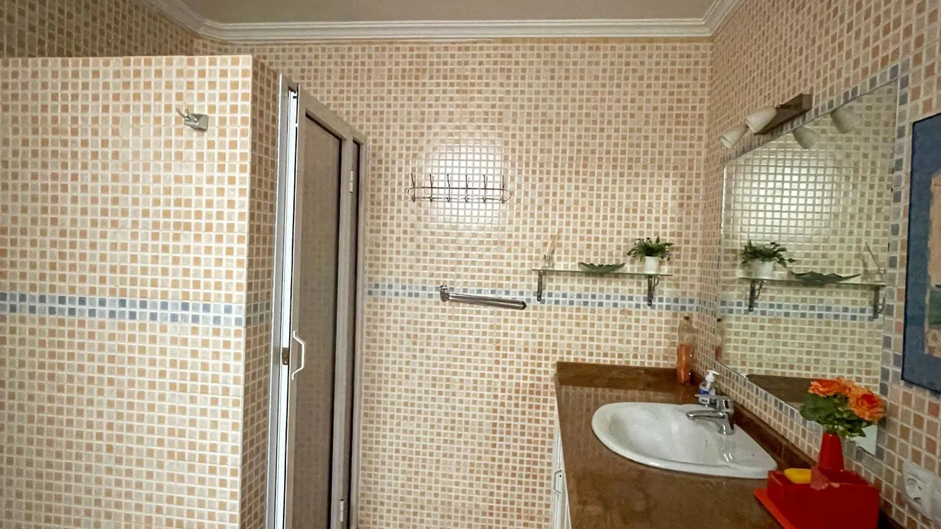 Surf And Hike With Moroccan Break Agadir Apartman
